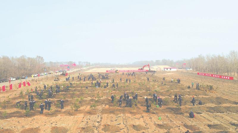 春雨过后绿满园